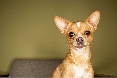 KK官方对战平台怀旧专区正式上线 寻找洛丹伦，重返RPG黄金年代！